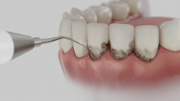 Reliable Dental contractor in Port Lavaca, TX by Dentist Open Now